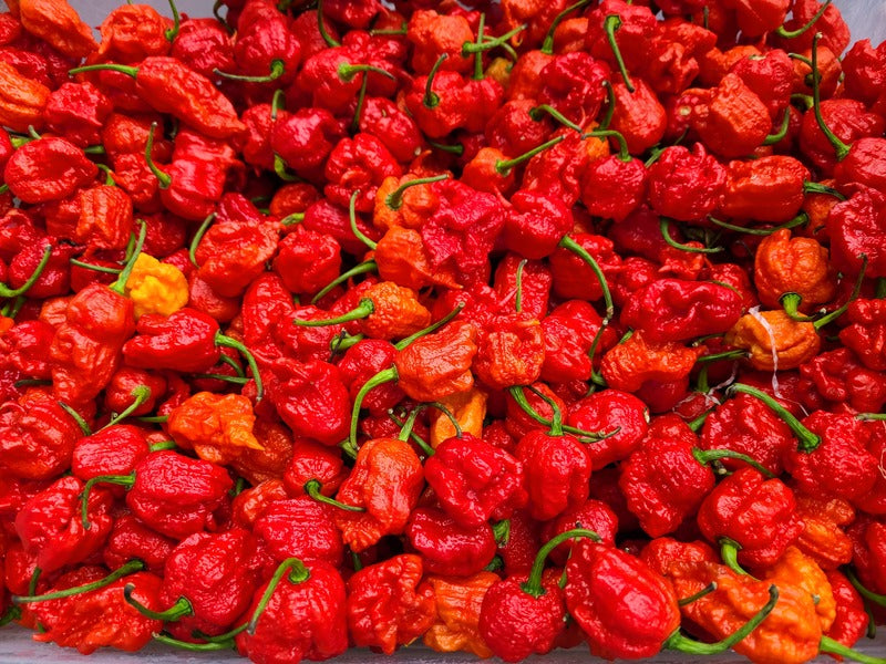 "Carolina Reapers for Shade Time"